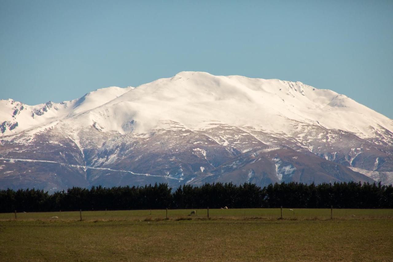 Shearvue Farmstay With Optional Free Farm Experience At 5Pm Fairlie Exteriér fotografie