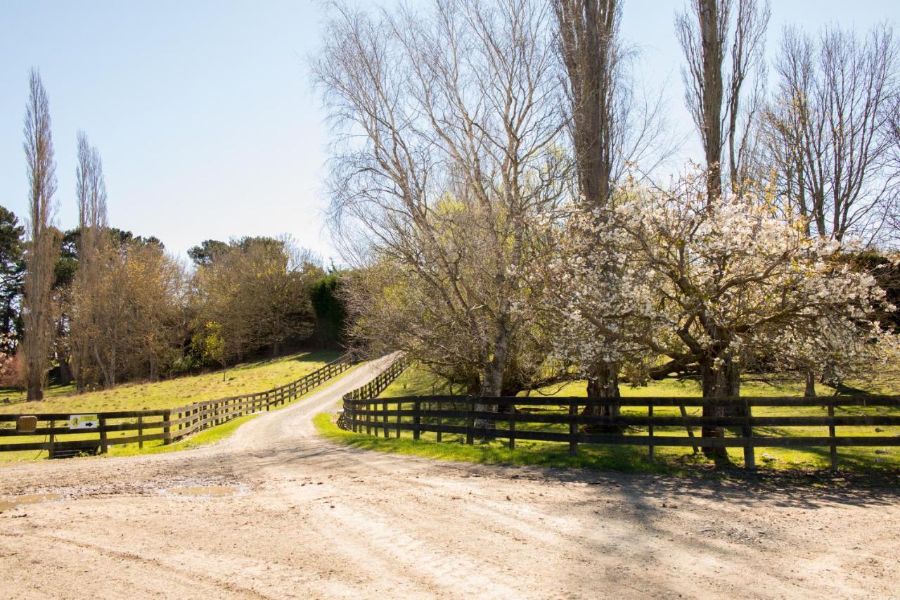 Shearvue Farmstay With Optional Free Farm Experience At 5Pm Fairlie Exteriér fotografie